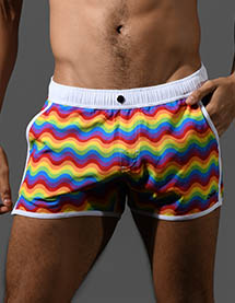 Swim Shorts Image