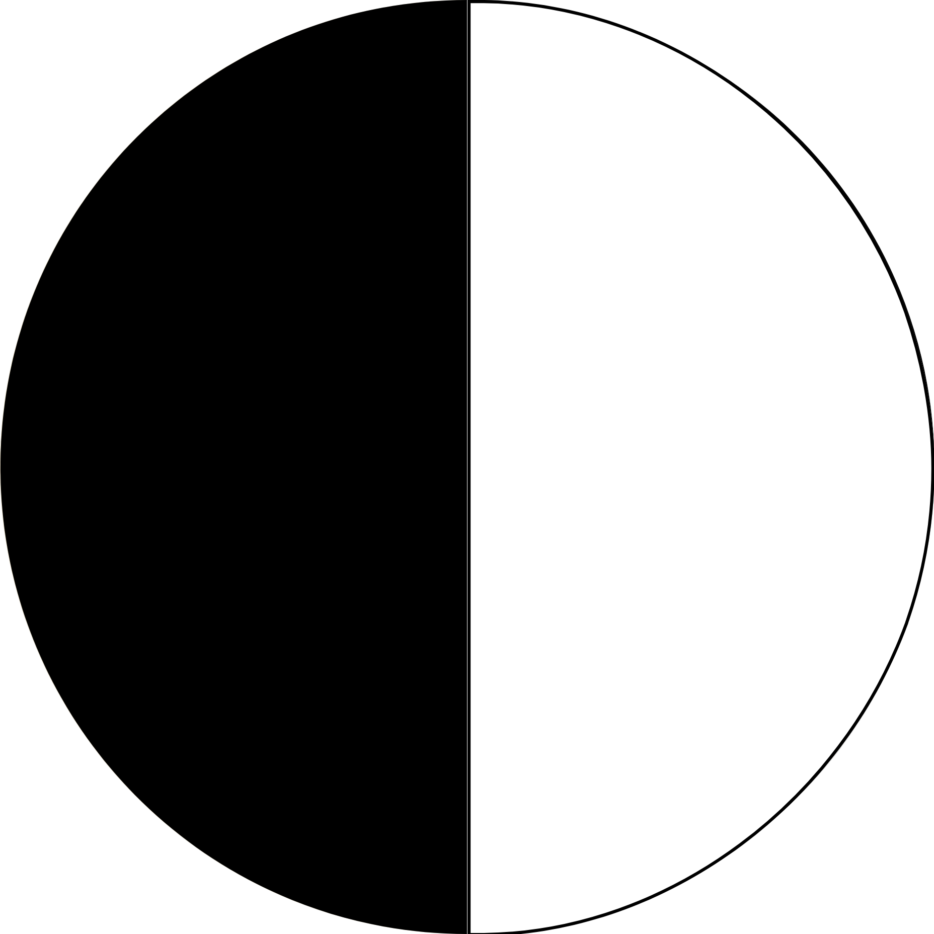 Black & White 